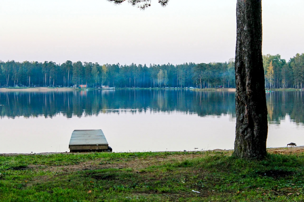 Озеро рядом ДНП Коркинские просторы