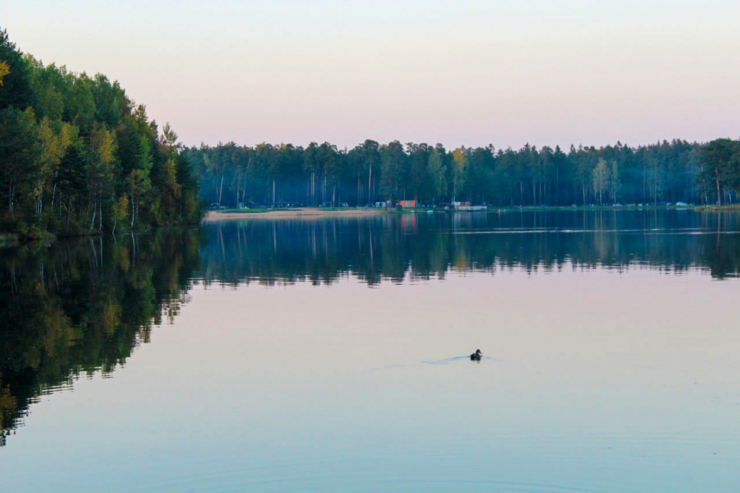 Озеро рядом ДНП Коркинские просторы